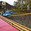Shark Roller Coaster